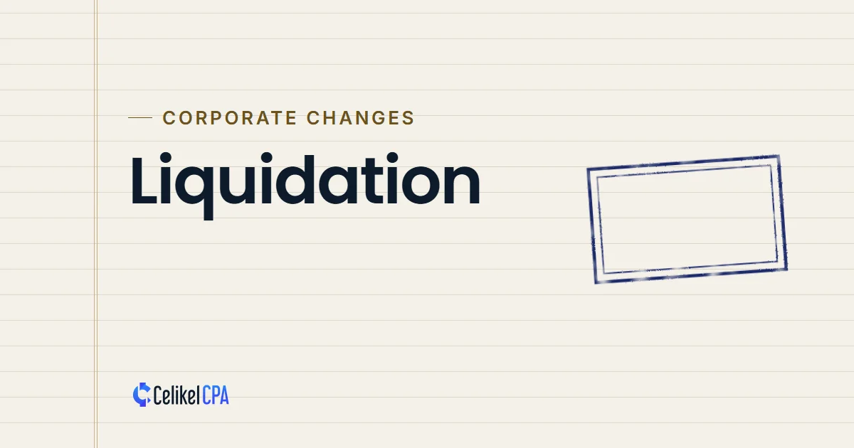 How to Close a Company in Turkey: LLC Liquidation Guide