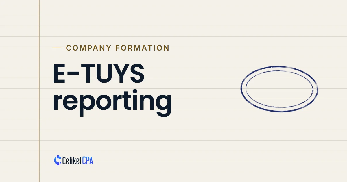 Celikel CPA article cover: "E-TUYS reporting" under the label Company formation