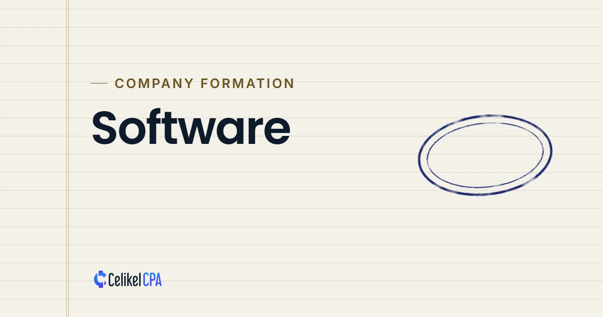 Celikel CPA article cover: "Software" under the label Company formation