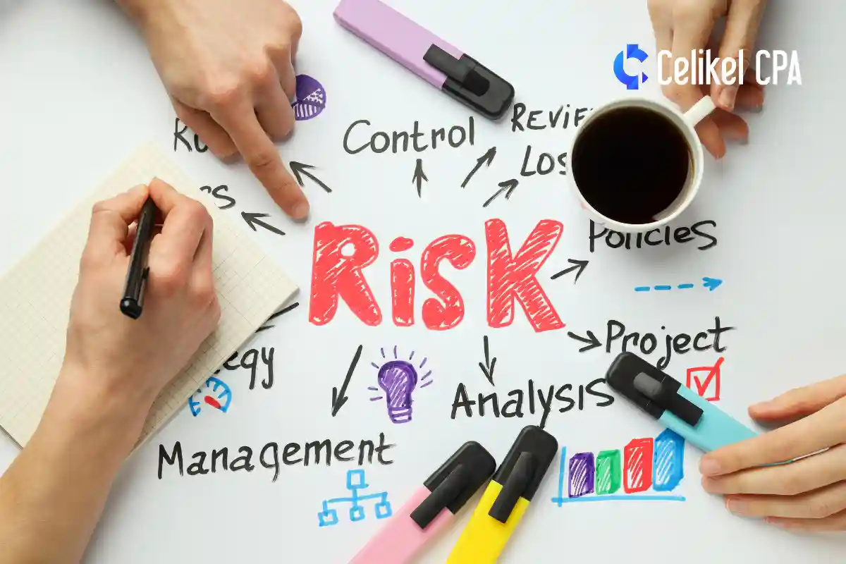Risk yönetimi  ve eller