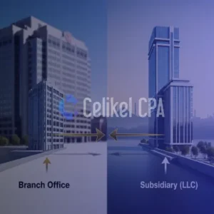 A striking conceptual image comparing two business structures for entry into Turkey: a branch office (direct, exposed extension of parent company) versus a subsidiary LLC (separate, protected entity), set against a subtle Istanbul skyline.