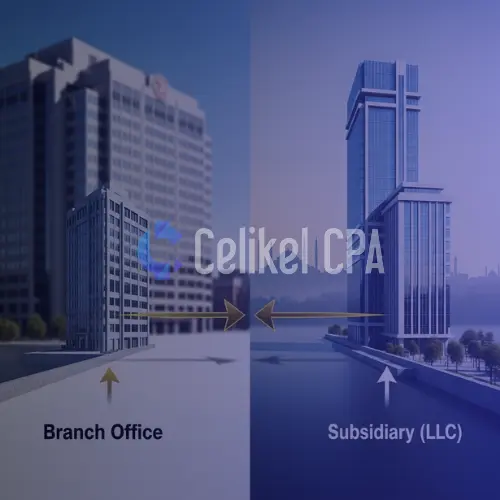 A striking conceptual image comparing two business structures for entry into Turkey: a branch office (direct, exposed extension of parent company) versus a subsidiary LLC (separate, protected entity), set against a subtle Istanbul skyline.