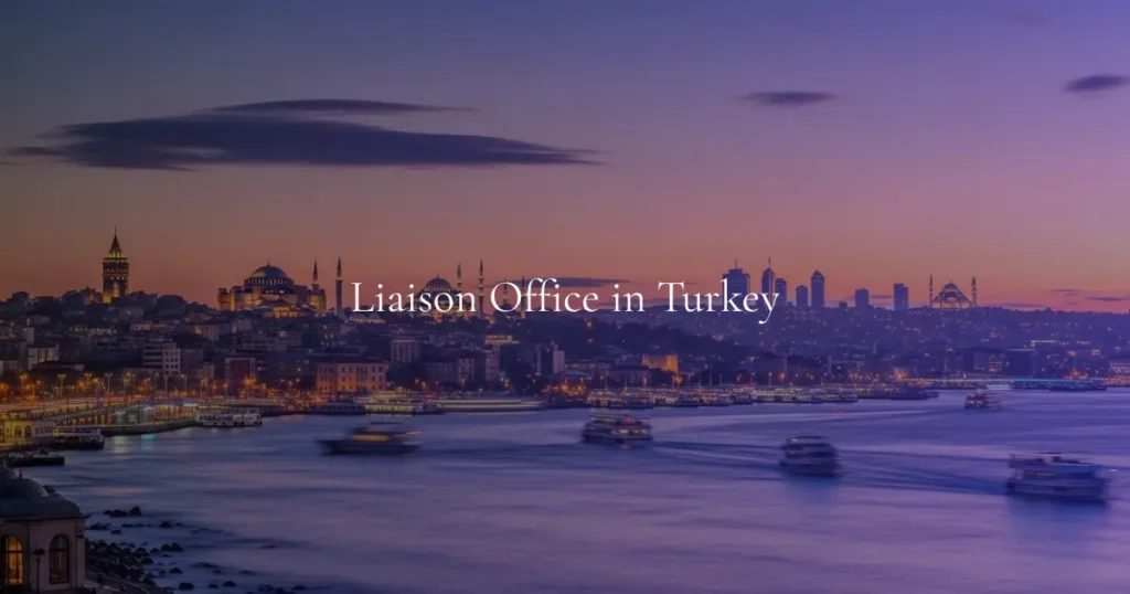 Liaison Office in Turkey strategic market entry