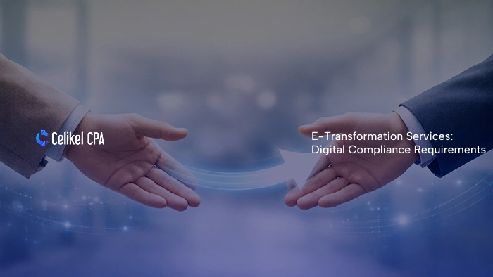 E-Transformation digital compliance services in Turkey